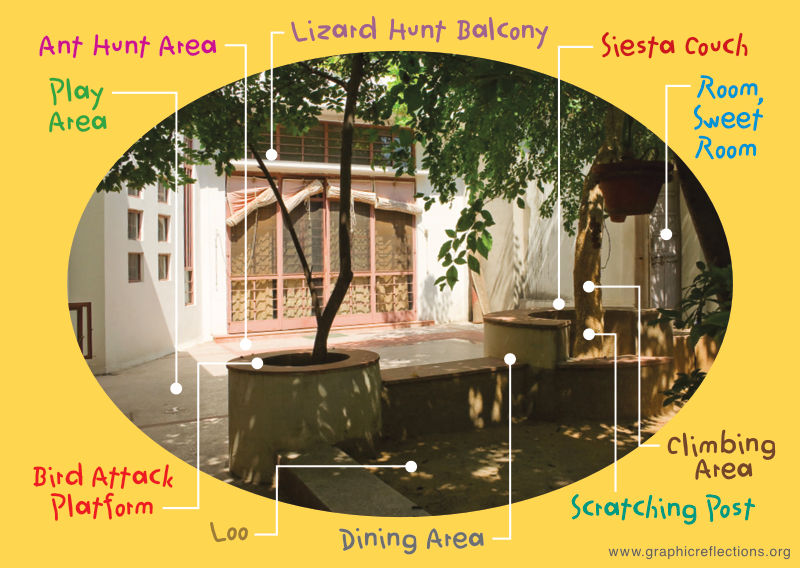 Oval framed pic of a courtyard, with call-outs describing several areas from a kitten's perspective